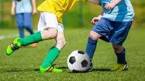 AG真人 资讯 094919 ms5